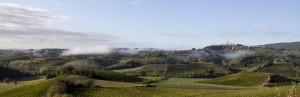 Panorama colline toscane a san gimignano