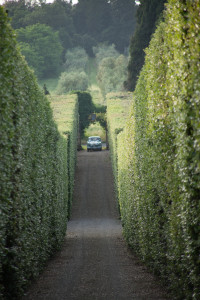 Auto d'epoca matrimonio scuderie di scorgiano monteriggioni