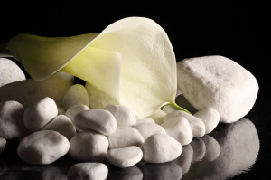 Calla su fondo nero con sassi bianchi Estetica Beauty Art
